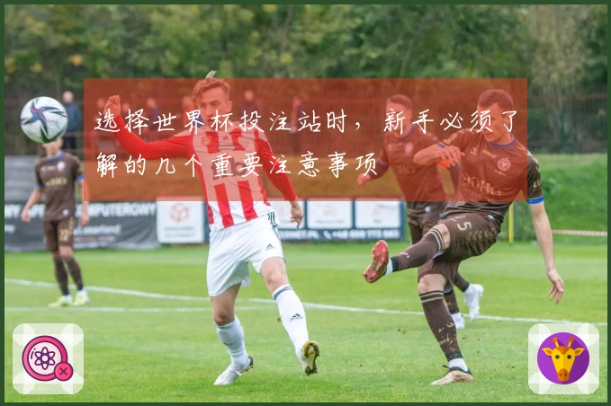 选择世界杯投注站时，新手必须了解的几个重要注意事项