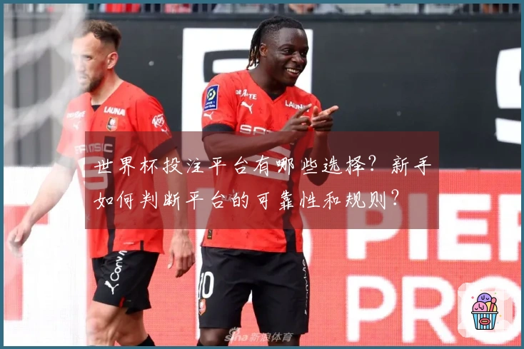 世界杯投注平台有哪些选择？新手如何判断平台的可靠性和规则？